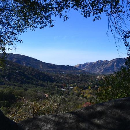Shady Knoll Βίλα Three Rivers Εξωτερικό φωτογραφία