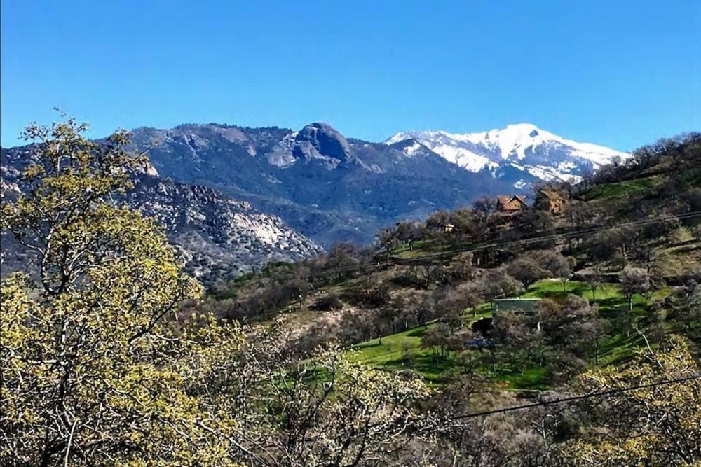 Shady Knoll Βίλα Three Rivers Εξωτερικό φωτογραφία